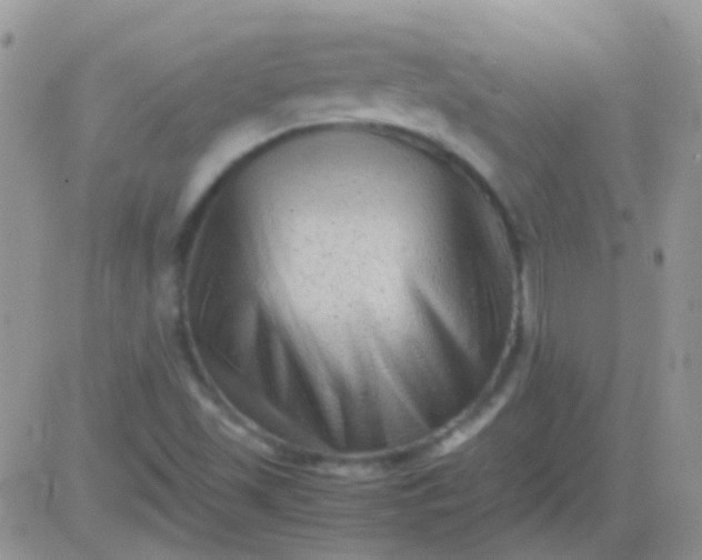 X0000081391501200701252051