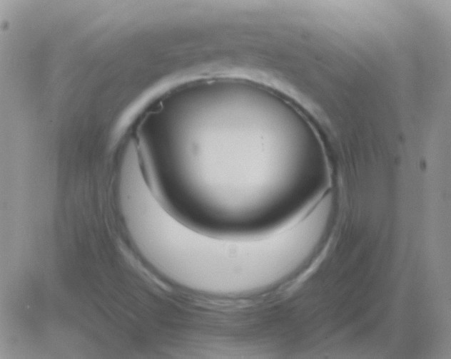 X0000081391502200701252051