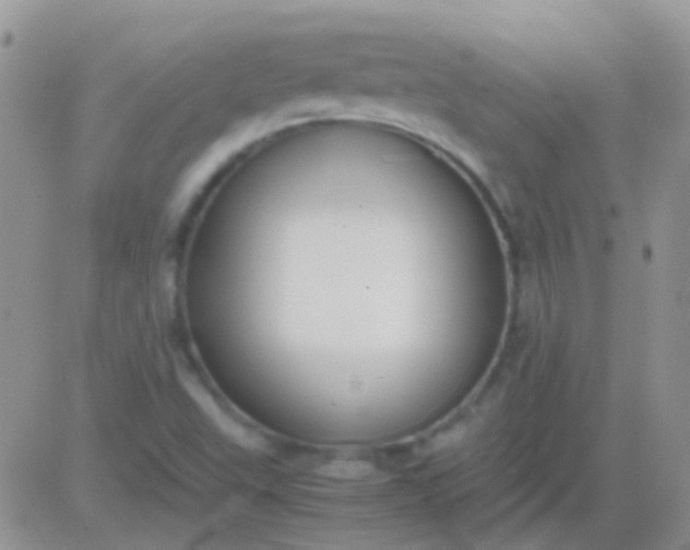 X0000081391503200701252051