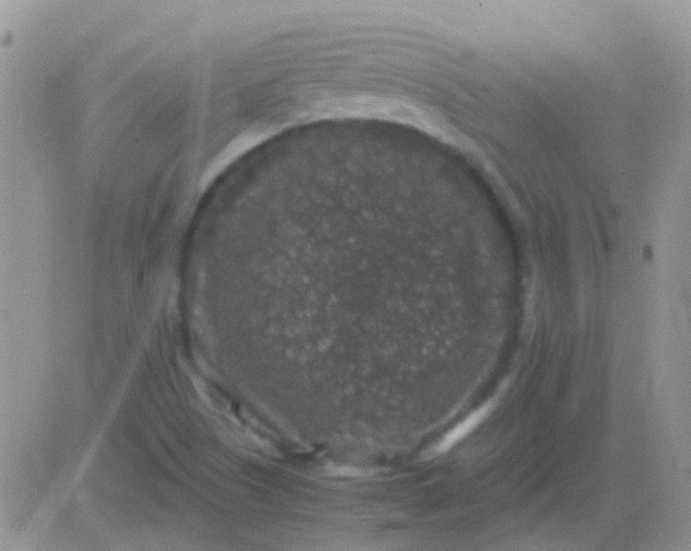 X0000081391505200701252051