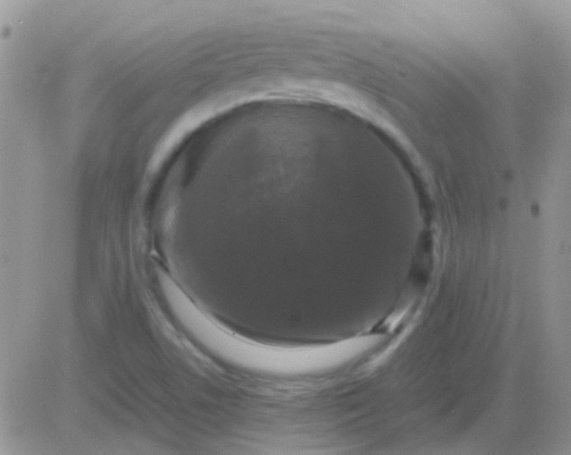 X0000081391506200701252051