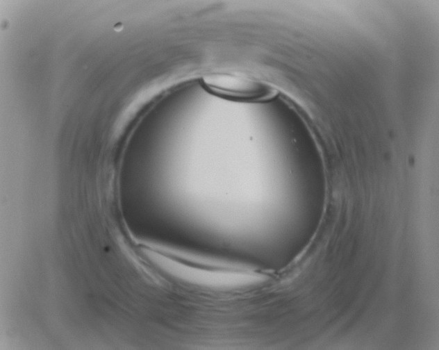 X0000081391507200701252051