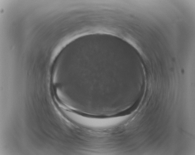 X0000081391508200701252051