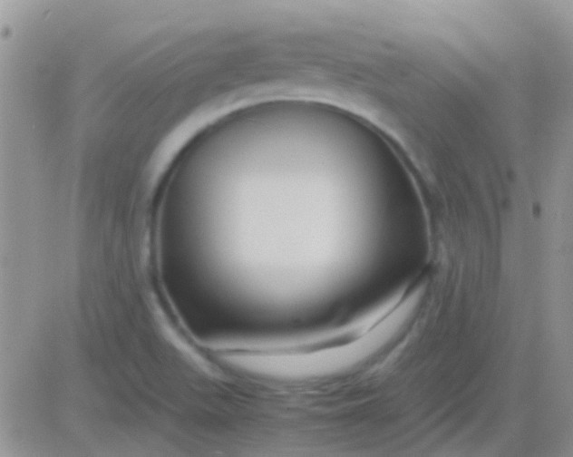 X0000081391511200701252051