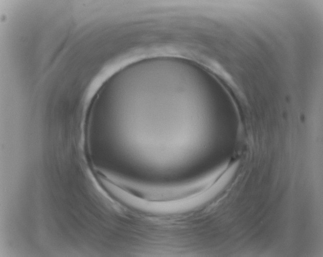 X0000081391512200701252051