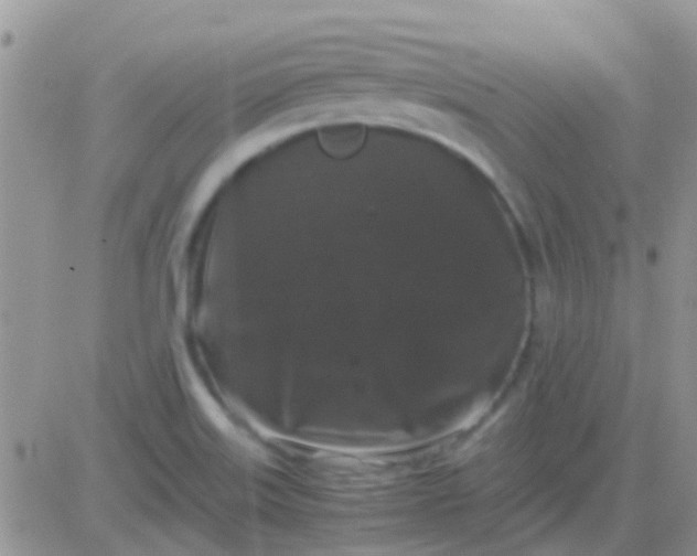 X0000081391515200701252051