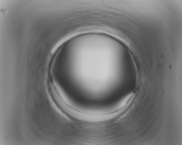 X0000081391518200701252051