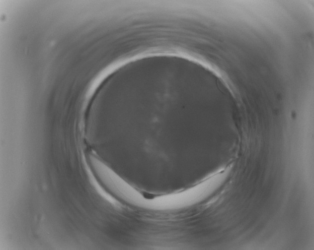 X0000081391519200701252051