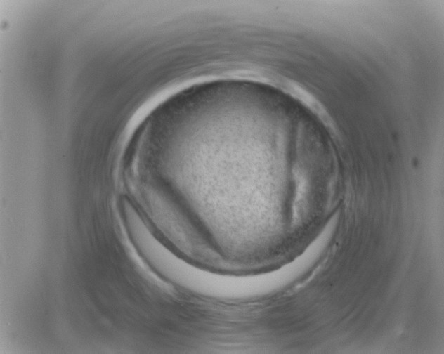 X0000081391520200701252051