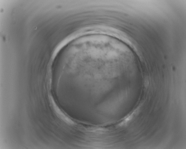 X0000081391522200701252051