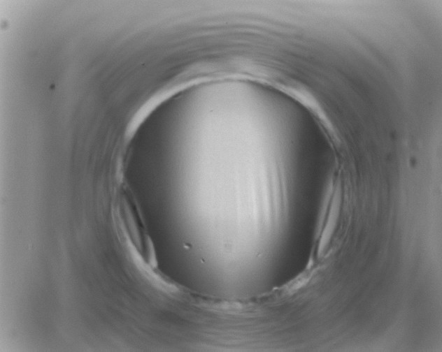 X0000081391524200701252051