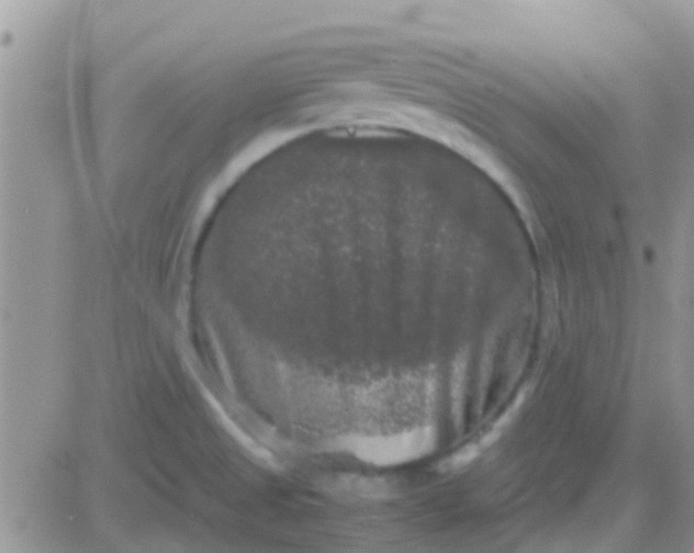 X0000081391525200701252051