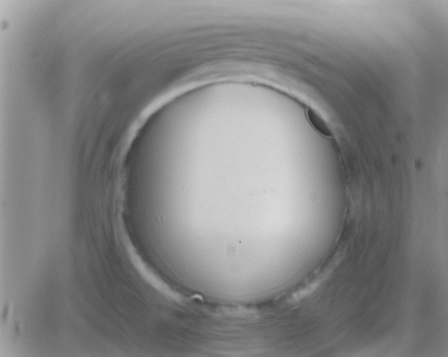 X0000081391526200701252051