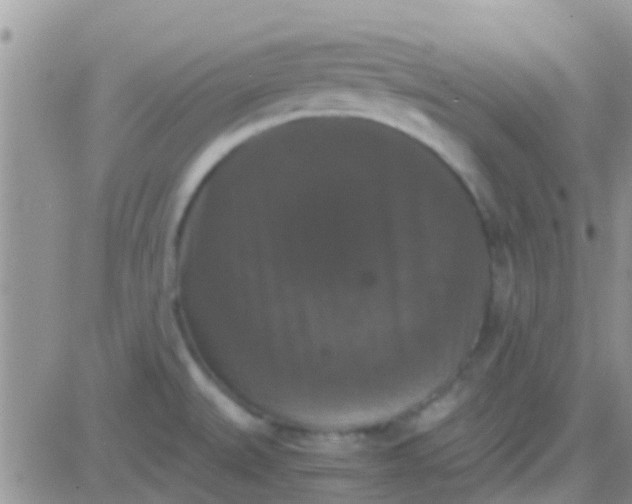 X0000081391527200701252051