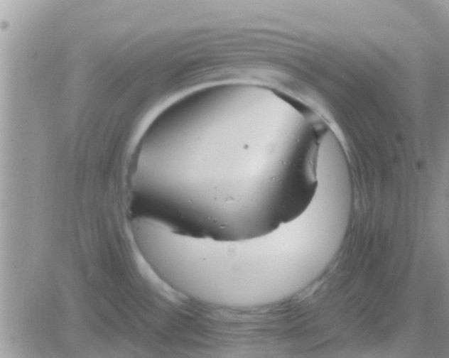 X0000081391532200701252051