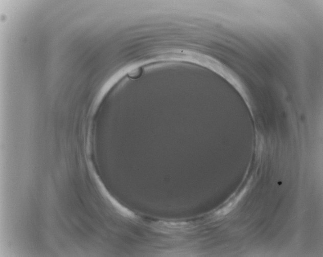 X0000081391533200701252051