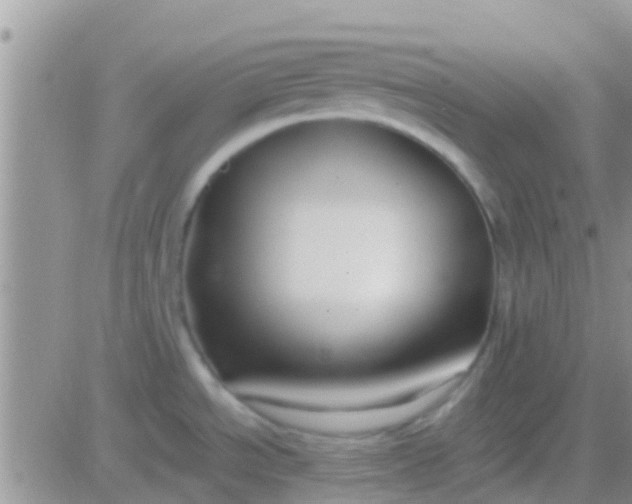 X0000081391534200701252051