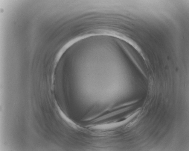 X0000081391535200701252051