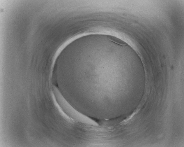 X0000081391536200701252051