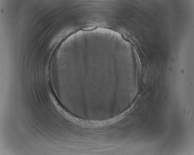 X0000081390002200702020307