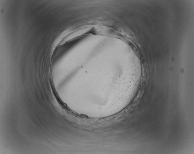 X0000081390003200702020307