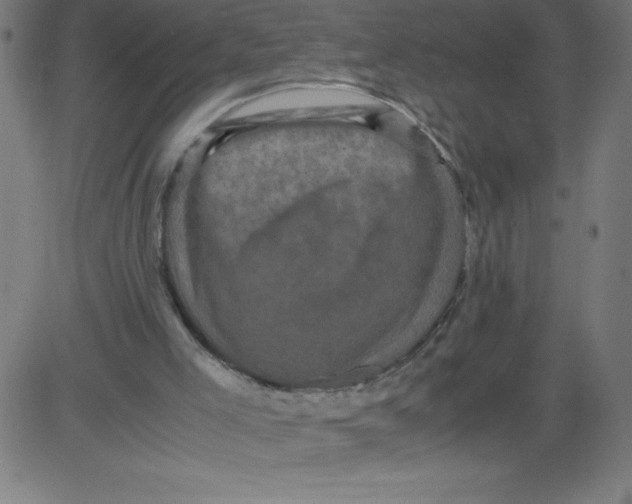 X0000081390005200702020307