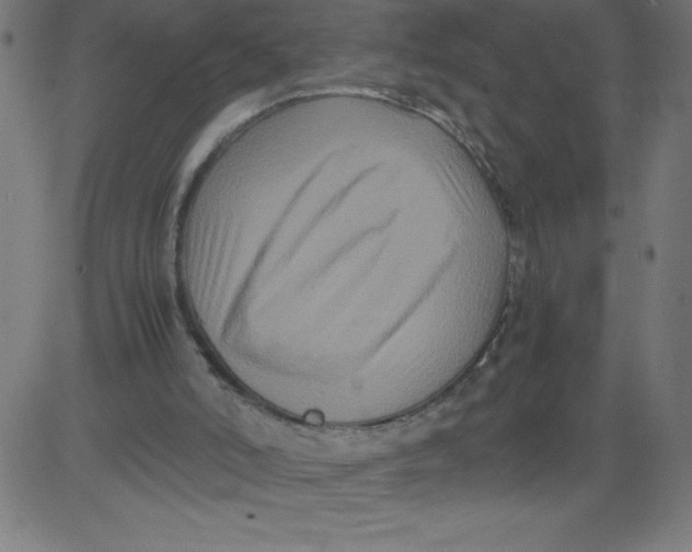 X0000081390006200702020307