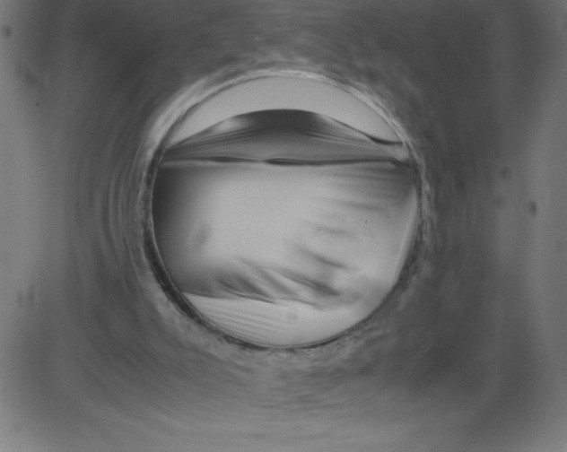 X0000081390007200702020307