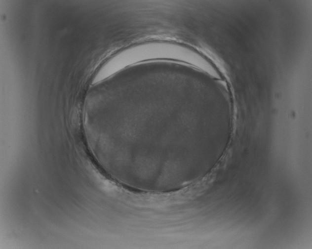 X0000081390009200702020307