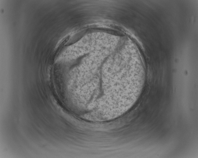 X0000081390010200702020307