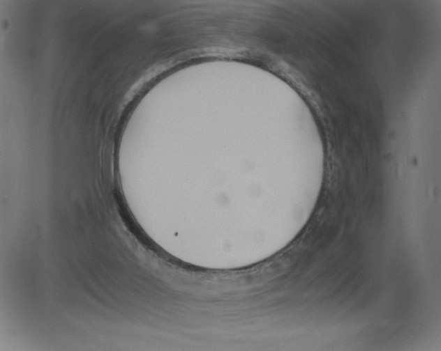 X0000081390011200702020307