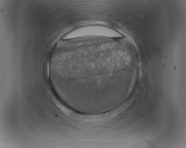 X0000081390013200702020307