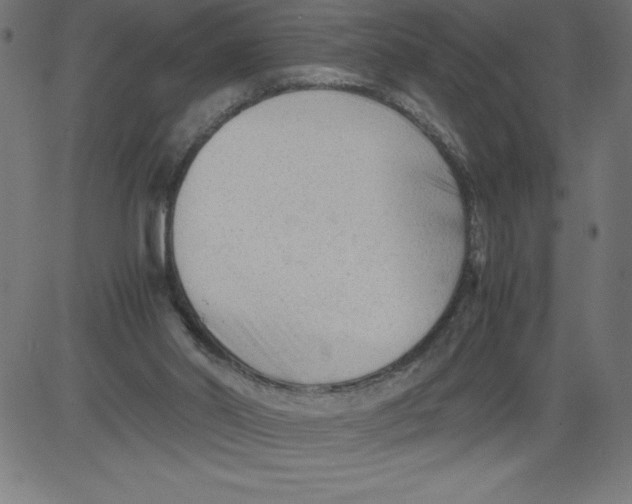 X0000081390014200702020307