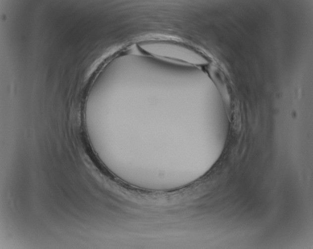 X0000081390015200702020307