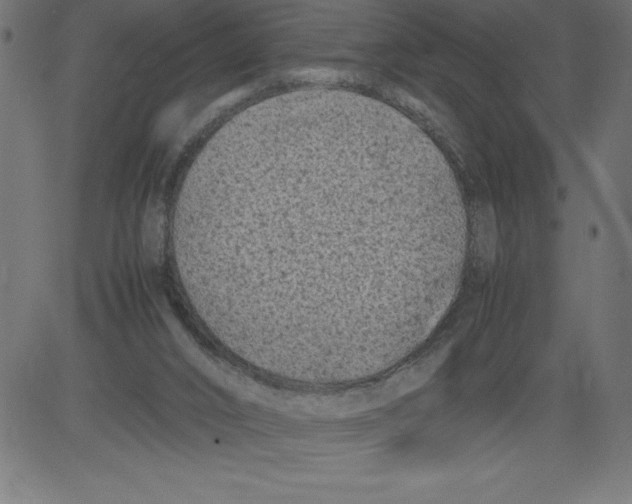 X0000081390016200702020307