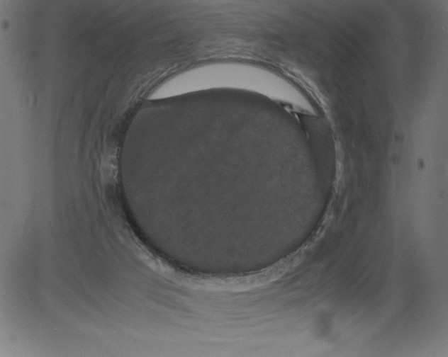 X0000081390017200702020307