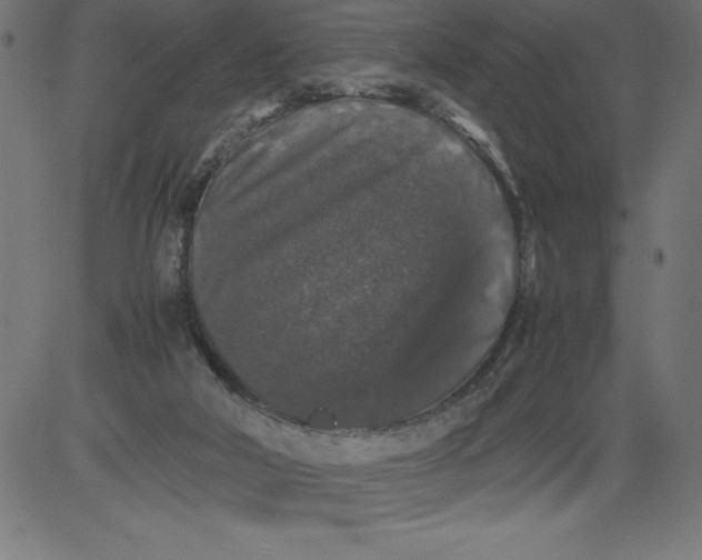 X0000081390018200702020307