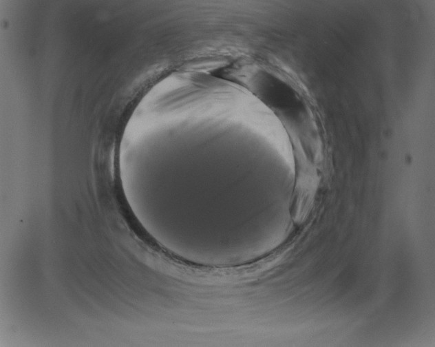 X0000081390019200702020307