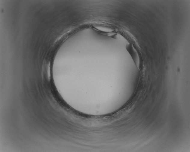 X0000081390020200702020307