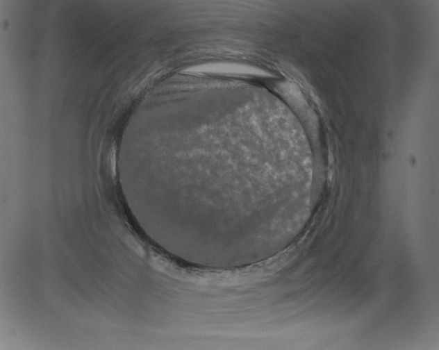 X0000081390021200702020307