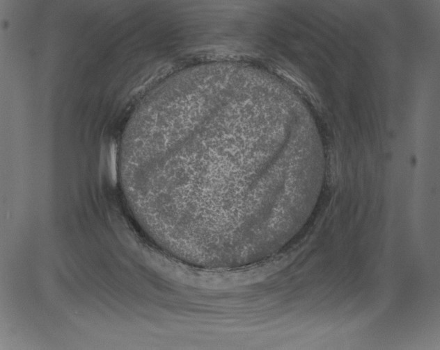 X0000081390022200702020307