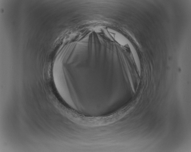 X0000081390023200702020307