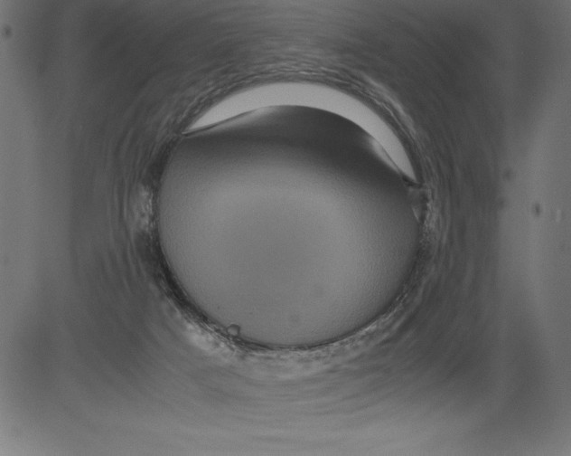 X0000081390025200702020306