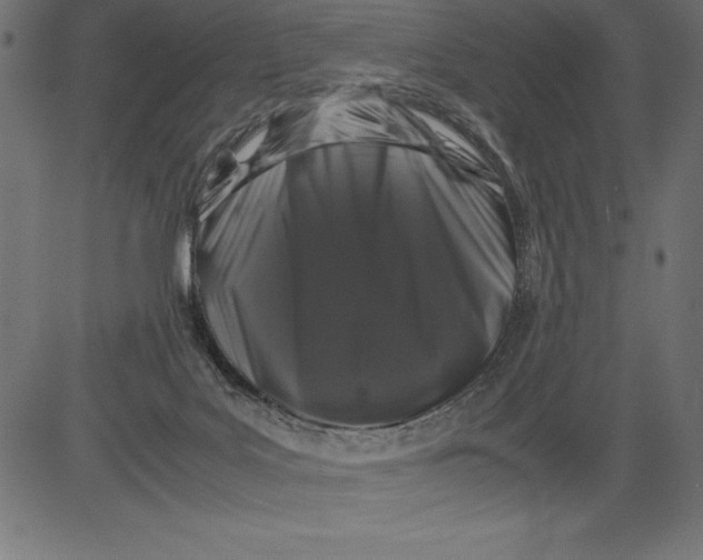 X0000081390027200702020306