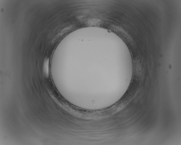 X0000081390028200702020306