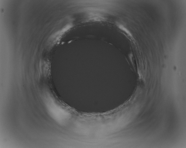 X0000081390029200702020306