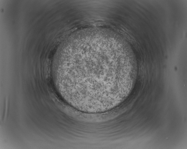 X0000081390030200702020306