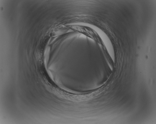 X0000081390031200702020306