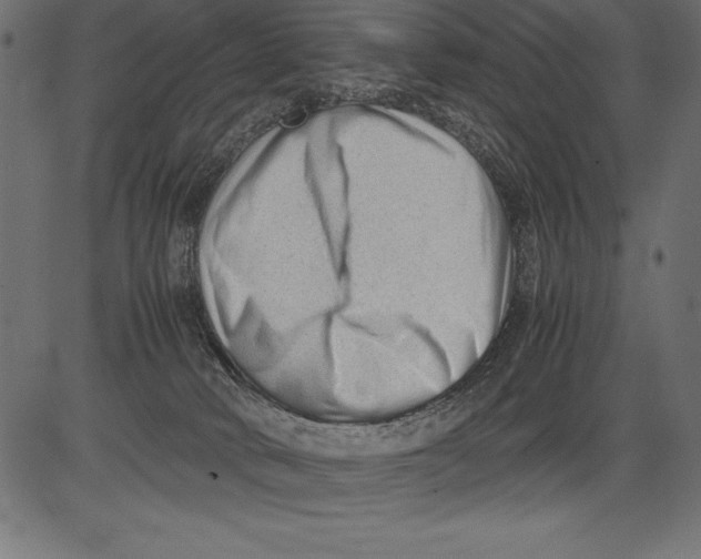 X0000081390034200702020306