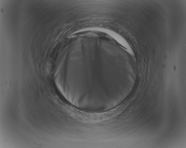 X0000081390035200702020306